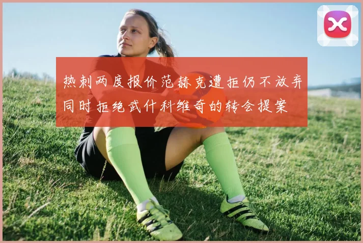 热刺两度报价范赫克遭拒仍不放弃同时拒绝武什科维奇的转会提案